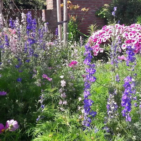 Beachhouse Engelbert Apartment Zandvoort