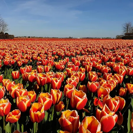 Beachhouse Engelbert