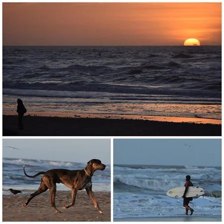 Apartment Beachhouse Engelbert *