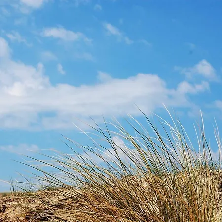 Beachhouse Engelbert Apartment *