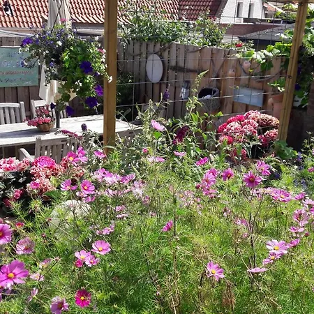 Beachhouse Engelbert Apartment *