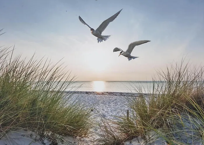 Beachhouse Engelbert *