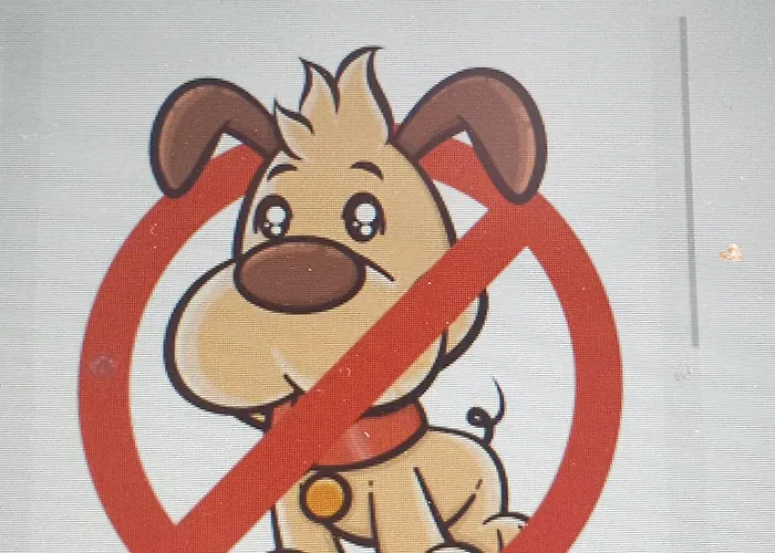 Beachhouse Engelbert Zandvoort