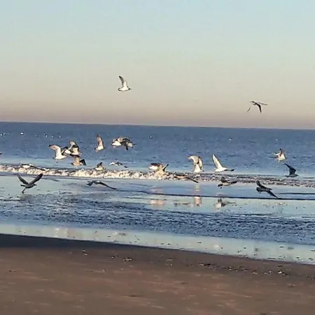 Beachhouse Engelbert アパート