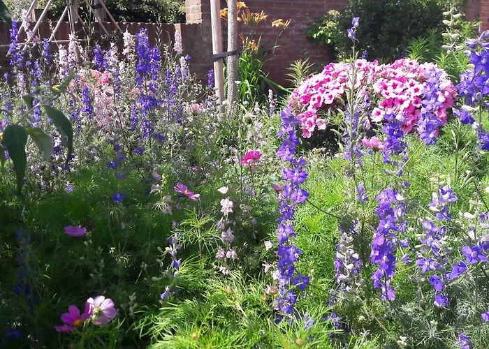 Beachhouse Engelbert 公寓 赞德沃特