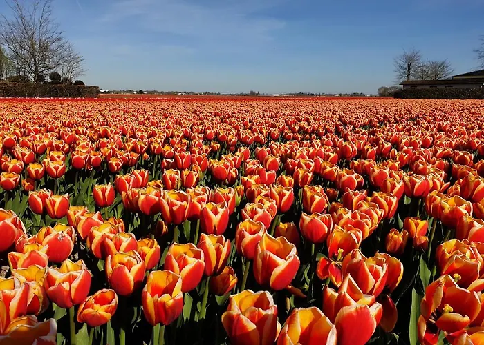 Beachhouse Engelbert