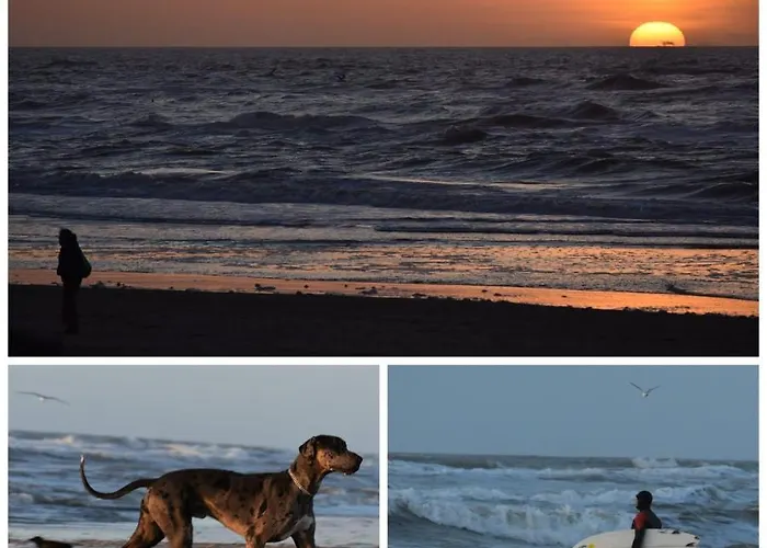 公寓 Beachhouse Engelbert *