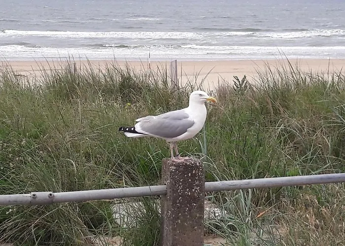 Beachhouse Engelbert 公寓