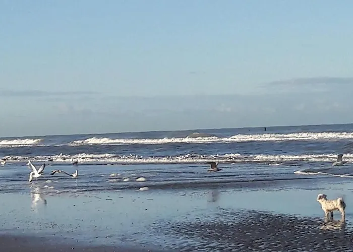 Beachhouse Engelbert 公寓