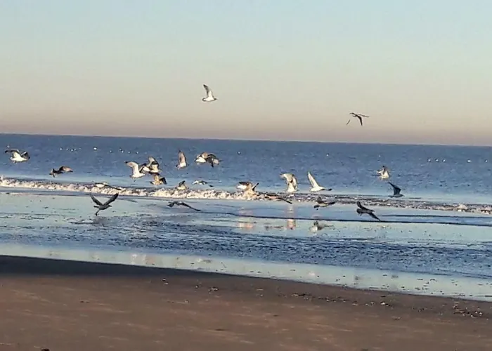 Beachhouse Engelbert 公寓