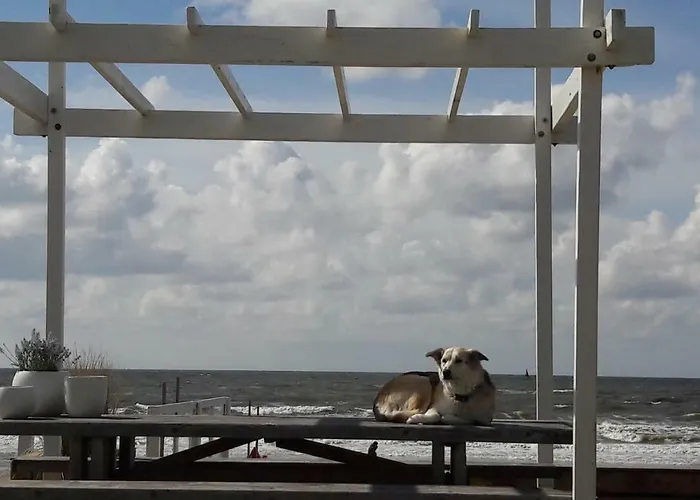 Beachhouse Engelbert * 赞德沃特