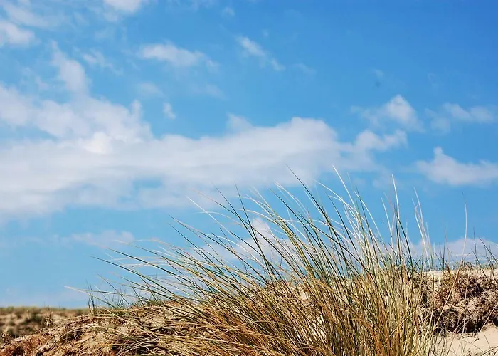 Beachhouse Engelbert 公寓 *